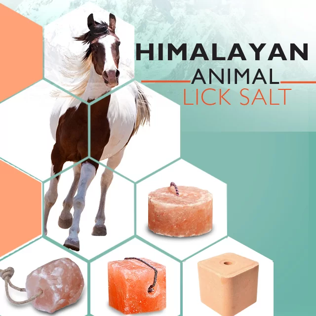 Animal licks